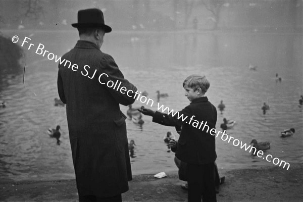 ST STEPHEN'S GREEN FEEDING  DUCKS